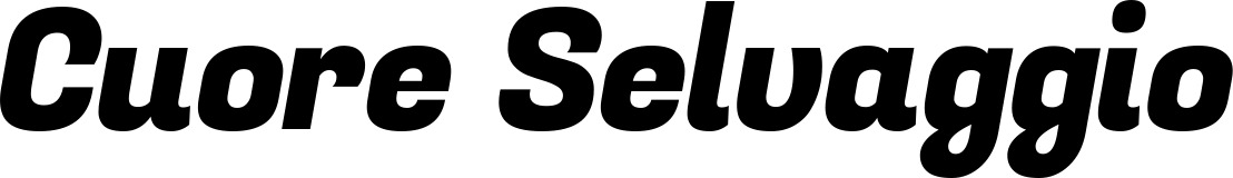 Vorschau des Bootsnamens "Cuore Selvaggio" als Schriftzug für "Bootsbeschriftung Kursiv 04"
