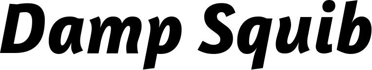 Vorschau des Bootsnamens "Damp Squib" als Schriftzug für "Bootsbeschriftung Kursiv 01"
