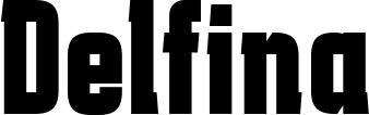 Vorschau des Bootsnamens "Delfina" als Schriftzug für "Bootsbeschriftung Fett 41"