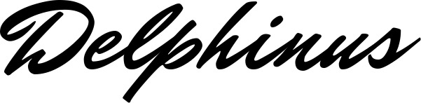 Vorschau des Bootsnamens "Delphinus" als Schriftzug für "Bootsbeschriftung Klassisch 82"