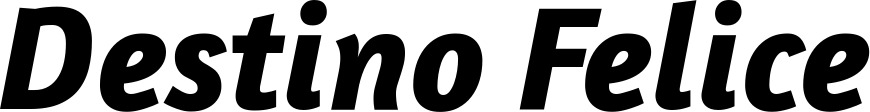Vorschau des Bootsnamens "Destino Felice" als Schriftzug für "Bootsbeschriftung Kursiv 01"