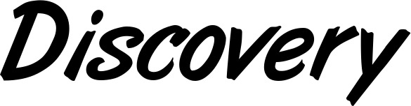 Vorschau des Bootsnamens "Discovery" als Schriftzug für "Bootsbeschriftung Klassisch 38"
