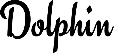Vorschau des Bootsnamens "Dolphin" als Schriftzug für "Bootsbeschriftung Klassisch 63"