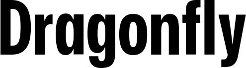 Vorschau des Bootsnamens "Dragonfly" als Schriftzug für "Bootsbeschriftung Fett 25"