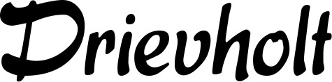 Vorschau des Bootsnamens "Drievholt" als Schriftzug für "Bootsbeschriftung Klassisch 15"