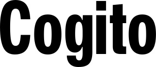 Vorschau des Bootsnamens "Cogito" als Schriftzug für "Bootsbeschriftung Fett 25"