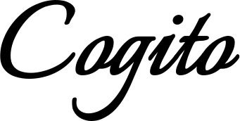 Vorschau des Bootsnamens "Cogito" als Schriftzug für "Bootsbeschriftung Klassisch 58"