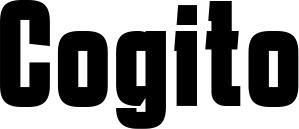 Vorschau des Bootsnamens "Cogito" als Schriftzug für "Bootsbeschriftung Fett 41"