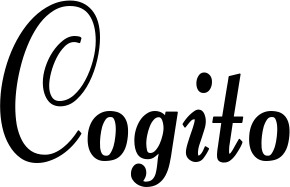 Vorschau des Bootsnamens "Cogito" als Schriftzug für "Style Klassisch 76"