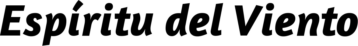 Vorschau des Bootsnamens "Espíritu del Viento" als Schriftzug für "Bootsbeschriftung Kursiv 01"
