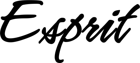 Vorschau des Bootsnamens "Esprit" als Schriftzug für "Bootsbeschriftung Klassisch 71"