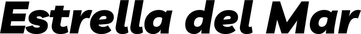 Vorschau des Bootsnamens "Estrella del Mar" als Schriftzug für "Bootsbeschriftung Kursiv 06"