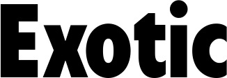 Vorschau des Bootsnamens "Exotic" als Schriftzug für "Bootsbeschriftung Fett 24"
