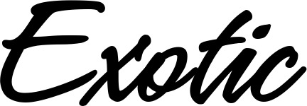 Vorschau des Bootsnamens "Exotic" als Schriftzug für "Bootsbeschriftung Klassisch 71"