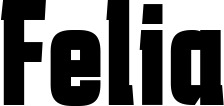 Vorschau des Bootsnamens "Felia" als Schriftzug für "Bootsbeschriftung Fett 41"