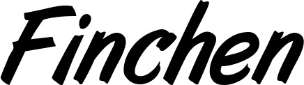 Vorschau des Bootsnamens "Finchen" als Schriftzug für "Bootsbeschriftung Klassisch 38"