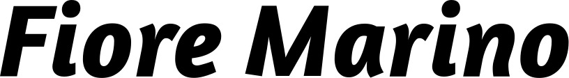 Vorschau des Bootsnamens "Fiore Marino" als Schriftzug für "Bootsbeschriftung Kursiv 01"