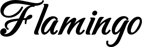 Vorschau des Bootsnamens "Flamingo" als Schriftzug für "Style Klassisch 50"