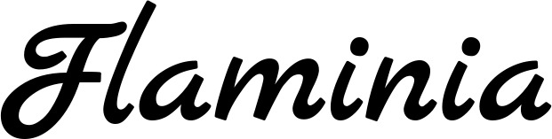 Vorschau des Bootsnamens "Flaminia" als Schriftzug für "Bootsbeschriftung Klassisch 77"