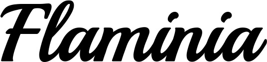 Vorschau des Bootsnamens "Flaminia" als Schriftzug für "Bootsbeschriftung Klassisch 86"
