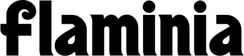 Vorschau des Bootsnamens "Flaminia" als Schriftzug für "Bootsbeschriftung Neu 32"