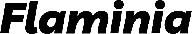 Vorschau des Bootsnamens "Flaminia" als Schriftzug für "Bootsbeschriftung Kursiv 06"