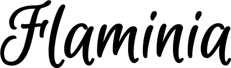 Vorschau des Bootsnamens "Flaminia" als Schriftzug für "Bootsbeschriftung Klassisch 105"