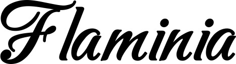 Vorschau des Bootsnamens "Flaminia" als Schriftzug für "Bootsbeschriftung Klassisch 50"