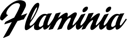 Vorschau des Bootsnamens "Flaminia" als Schriftzug für "Bootsbeschriftung Klassisch 29"