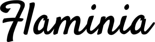 Vorschau des Bootsnamens "Flaminia" als Schriftzug für "Bootsbeschriftung Klassisch 96"