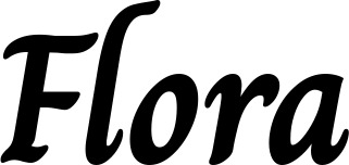 Vorschau des Bootsnamens "Flora" als Schriftzug für "Bootsbeschriftung Klassisch 51"