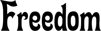 Vorschau des Bootsnamens "Freedom" als Schriftzug für "Bootsbeschriftung Neu 44"