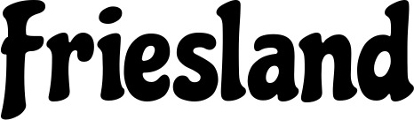 Vorschau des Bootsnamens "Friesland" als Schriftzug für "Bootsbeschriftung Neu 41"