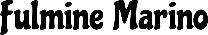 Vorschau des Bootsnamens "Fulmine Marino" als Schriftzug für "Bootsbeschriftung Neu 41"