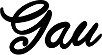 Vorschau des Bootsnamens "Gau" als Schriftzug für "Bootsbeschriftung Klassisch 102"