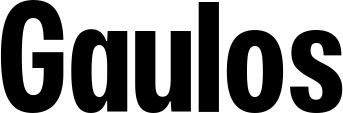 Vorschau des Bootsnamens "Gaulos" als Schriftzug für "Bootsbeschriftung Fett 25"