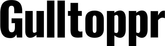 Vorschau des Bootsnamens "Gulltoppr" als Schriftzug für "Bootsbeschriftung Fett 29"