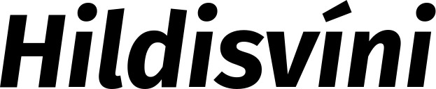 Vorschau des Bootsnamens "Hildisvíni" als Schriftzug für "Bootsbeschriftung Kursiv 03"