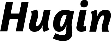 Vorschau des Bootsnamens "Hugin" als Schriftzug für "Bootsbeschriftung Kursiv 01"