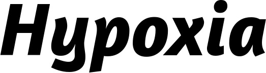 Vorschau des Bootsnamens "Hypoxia" als Schriftzug für "Bootsbeschriftung Kursiv 01"