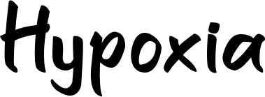 Vorschau des Bootsnamens "Hypoxia" als Schriftzug für "Bootsbeschriftung Klassisch 95"