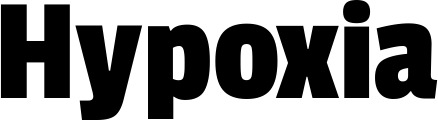 Vorschau des Bootsnamens "Hypoxia" als Schriftzug für "Bootsbeschriftung Fett 30"