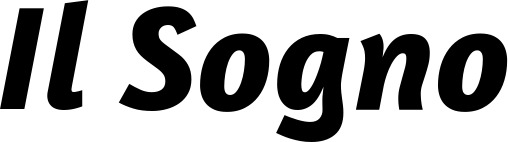 Vorschau des Bootsnamens "Il Sogno" als Schriftzug für "Bootsbeschriftung Kursiv 01"