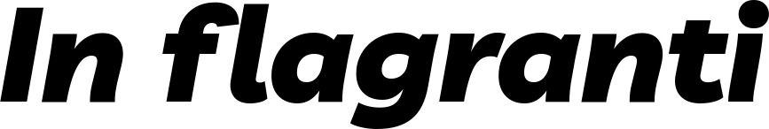 Vorschau des Bootsnamens "In flagranti" als Schriftzug für "Bootsbeschriftung Kursiv 06"