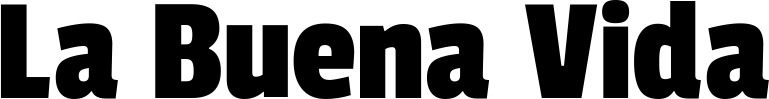 Vorschau des Bootsnamens "La Buena Vida" als Schriftzug für "Style Fett 30"
