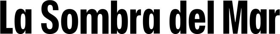 Vorschau des Bootsnamens "La Sombra del Mar" als Schriftzug für "Bootsbeschriftung Fett 25"