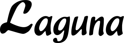 Vorschau des Bootsnamens "Laguna" als Schriftzug für "Bootsbeschriftung Klassisch 15"