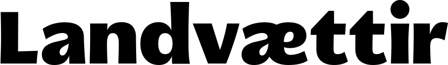 Vorschau des Bootsnamens "Landvættir" als Schriftzug für "Bootsbeschriftung Fett 05"