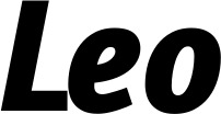 Vorschau des Bootsnamens "Leo" als Schriftzug für "Bootsbeschriftung Kursiv 01"