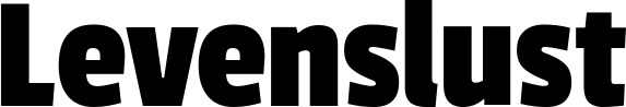 Vorschau des Bootsnamens "Levenslust" als Schriftzug für "Bootsbeschriftung Fett 30"